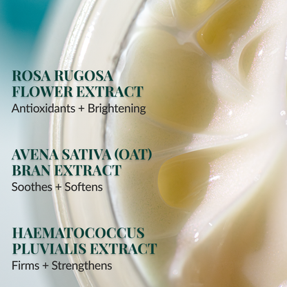 ATTI AMOUR Rose Anti-Aging Repair Eye Cream with Rosa rugosa flower extract and Rose Water – Firming, Hydrating Eye Treatment