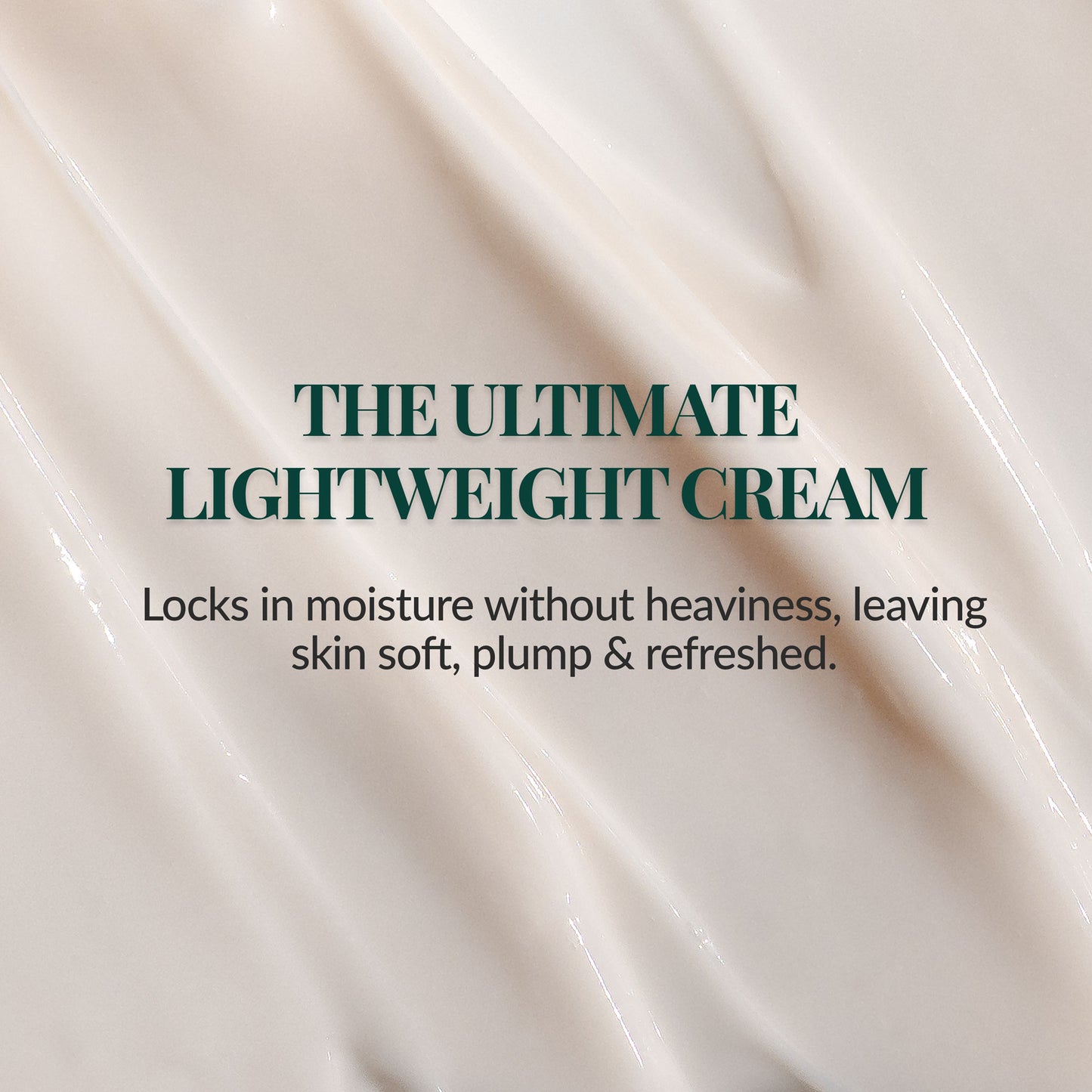 Best moisturizing cream for glowing, hydrated skin with niacinamide and macadamia seed oil