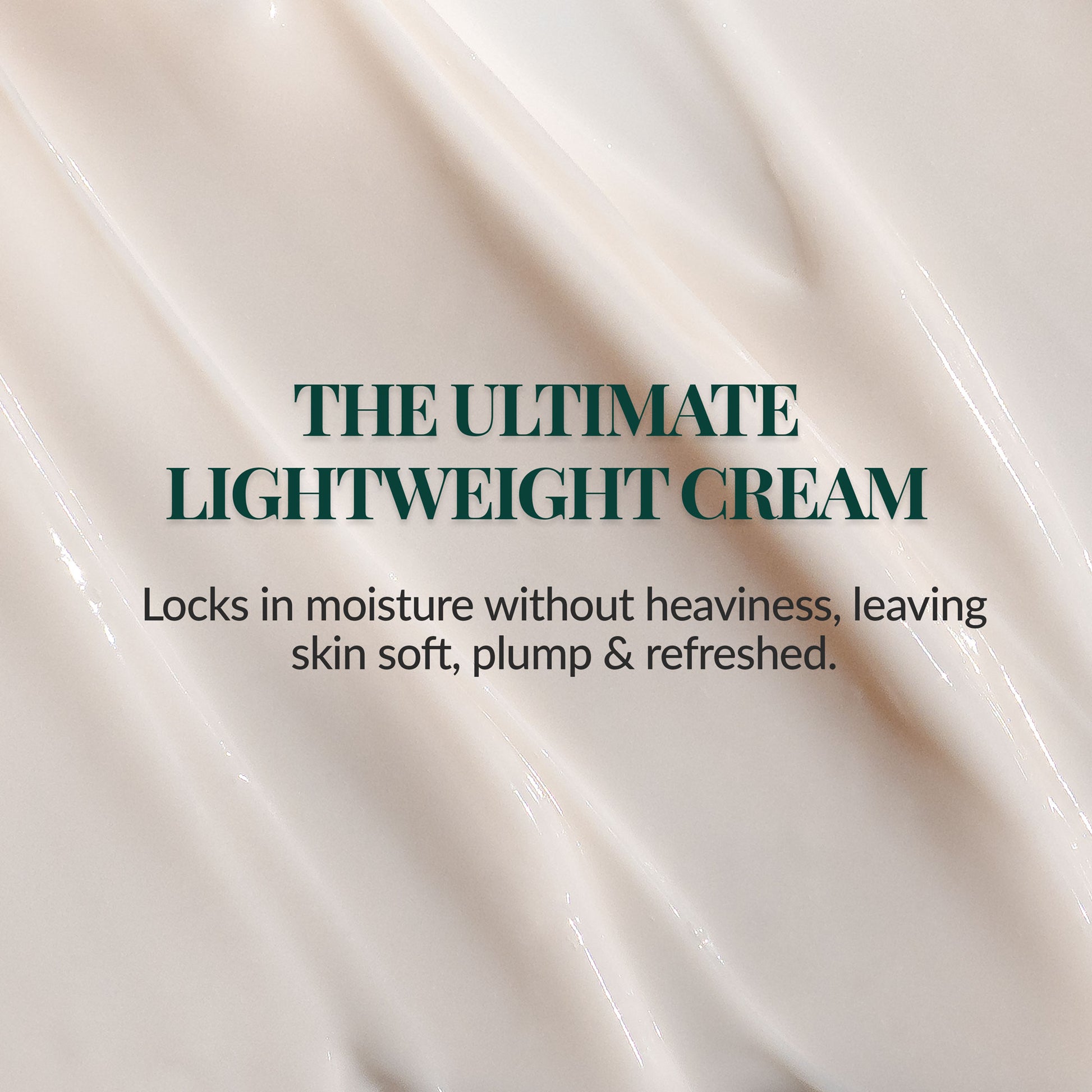 Best moisturizing cream for glowing, hydrated skin with niacinamide and macadamia seed oil