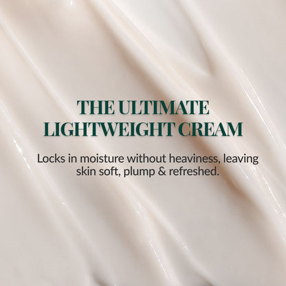 Best moisturizing cream for glowing, hydrated skin with niacinamide and macadamia seed oil