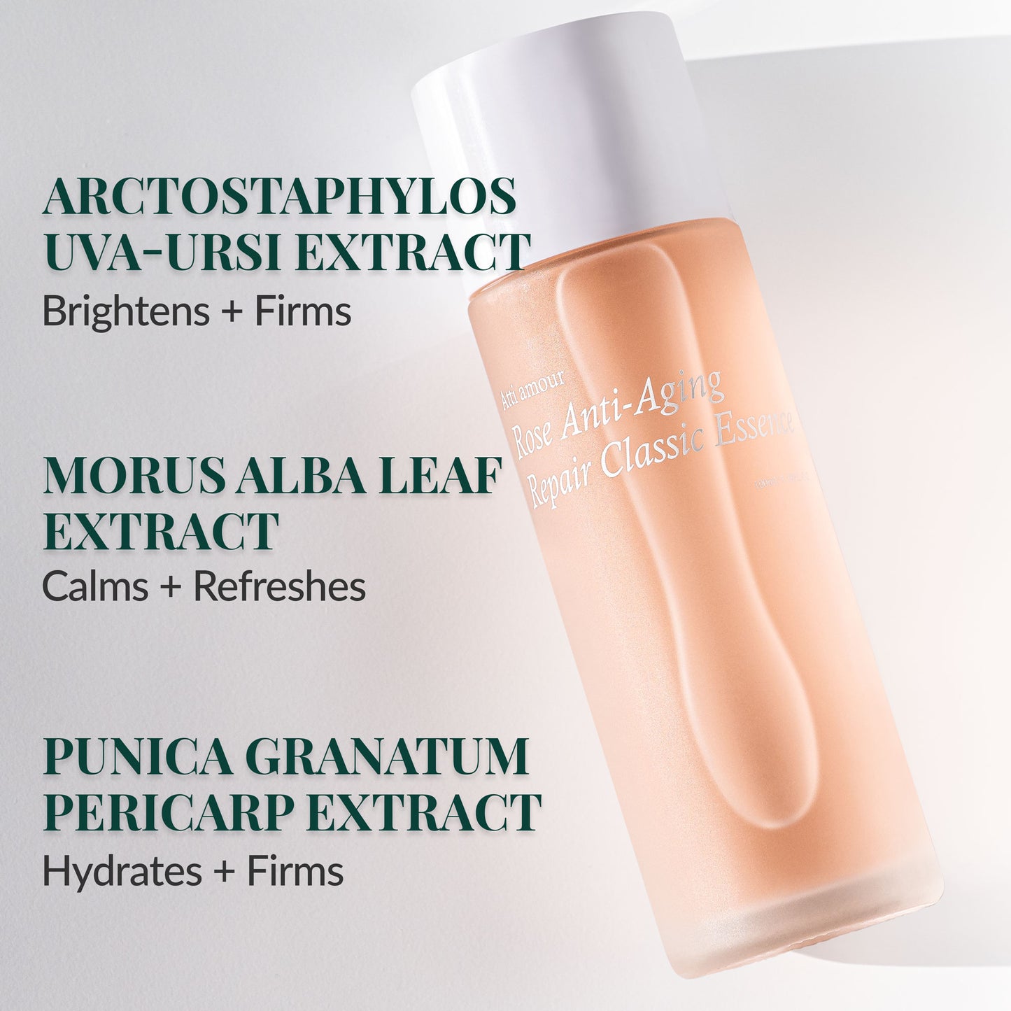 Botanical rose essence delivering lightweight hydration and radiance