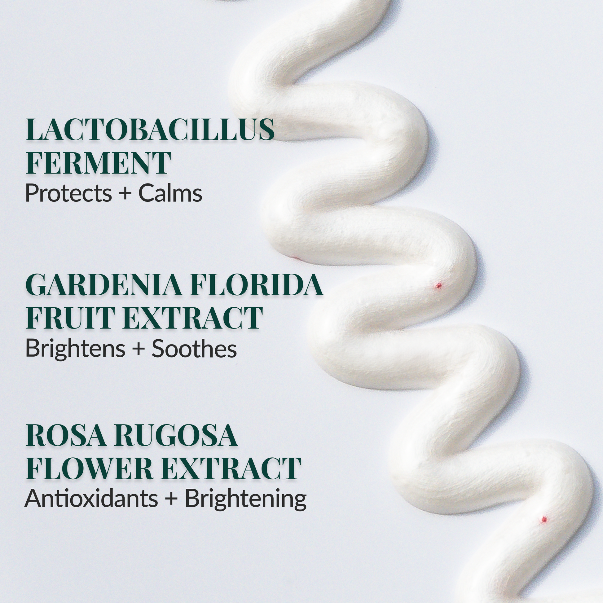 Lactobacillus ferment cleanser for strengthening skin microbiome and soothing irritation