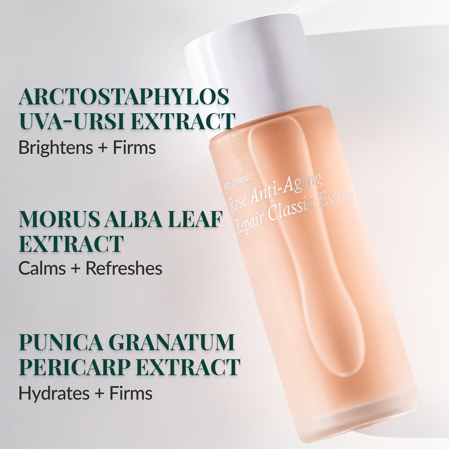 Peptide and plant extract essence strengthens skin barrier and reduces fine lines