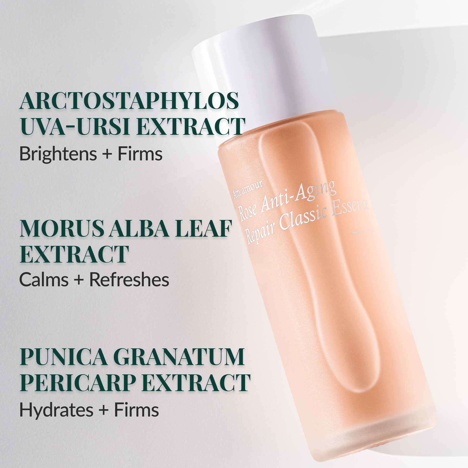 Peptide and plant extract essence strengthens skin barrier and reduces fine lines