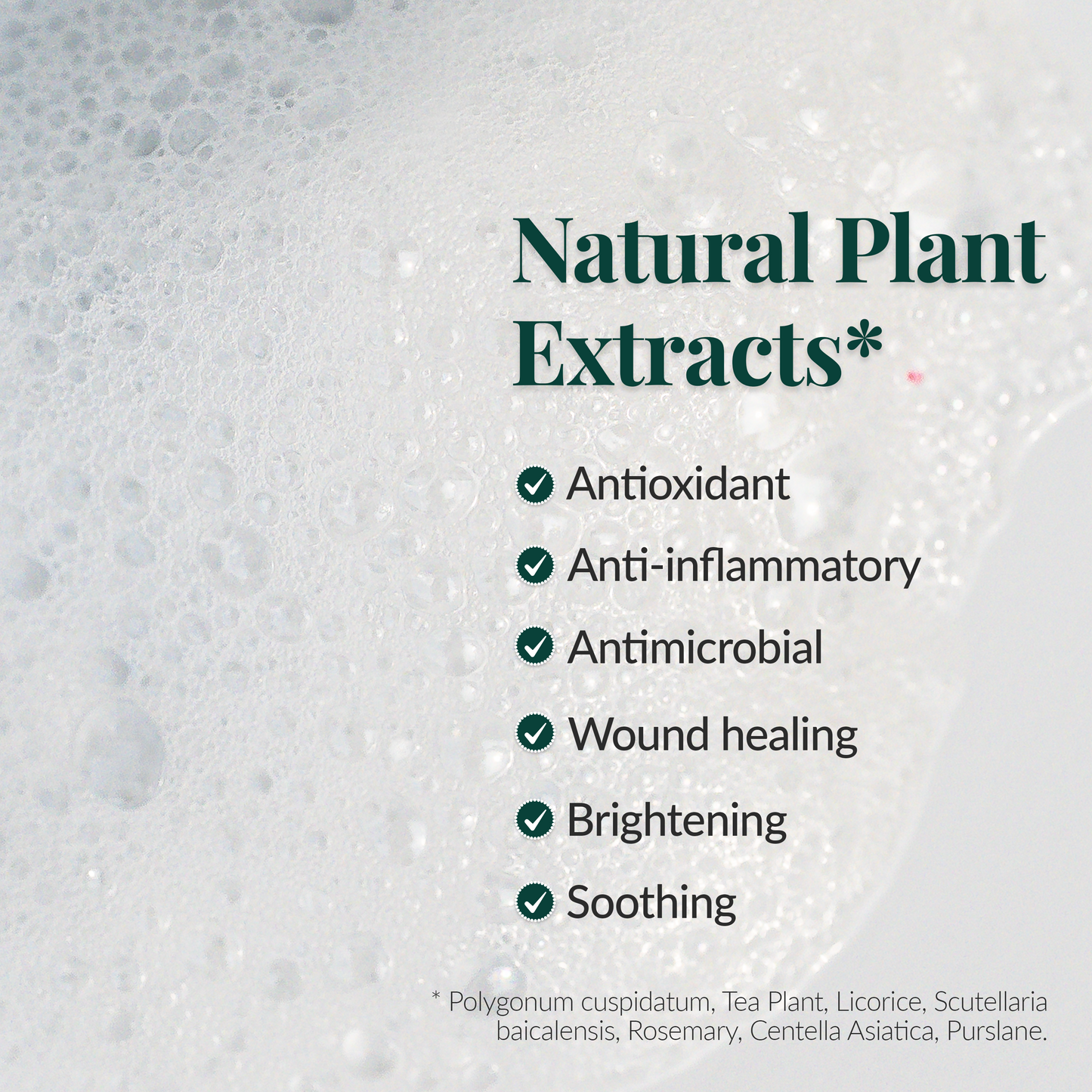 Soothing cleanser with gardenia fruit extract and rosa rugosa flower extract