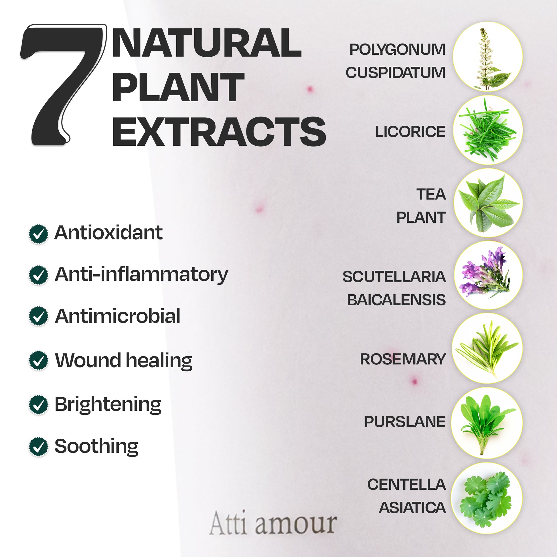 cleanser_natural-plant-extracts